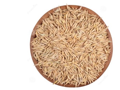 燕麥種子哪里能買(mǎi)到，價(jià)格怎么樣