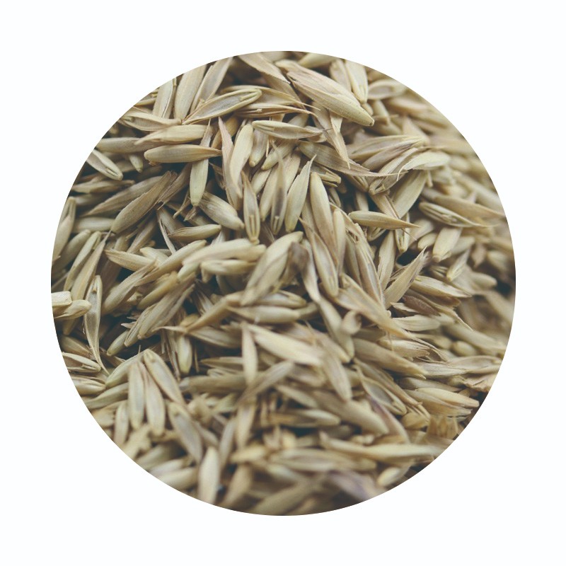 鴨茅