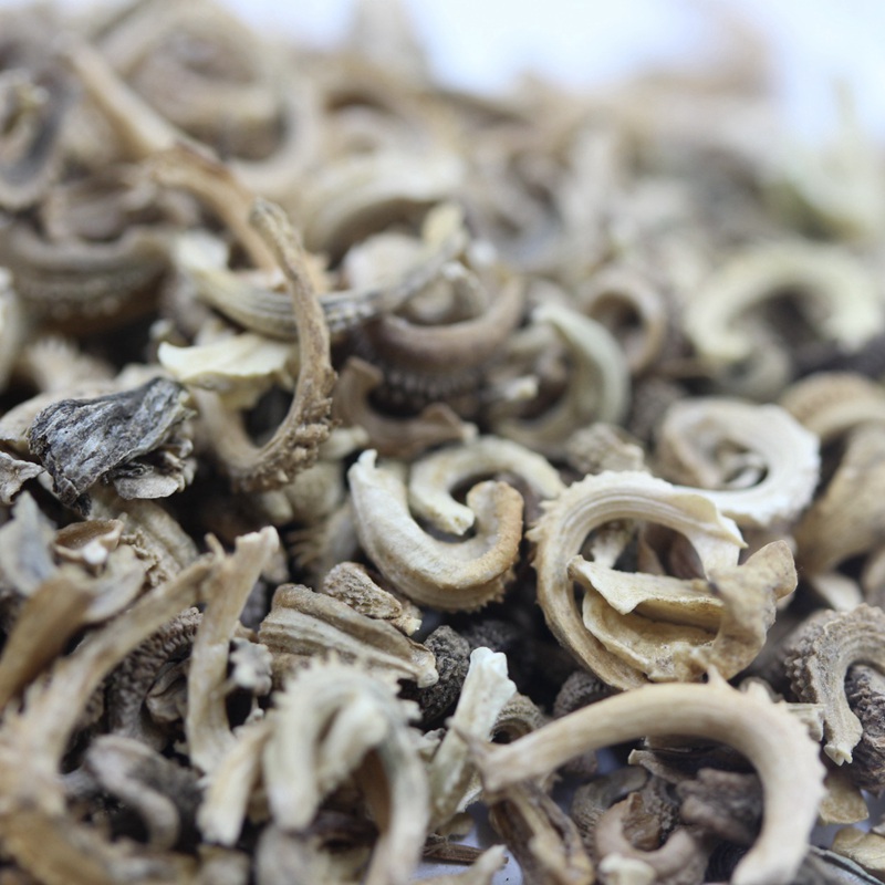 金盞菊