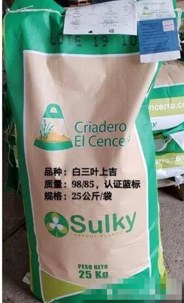 白三葉品種—上吉(Sulky) 