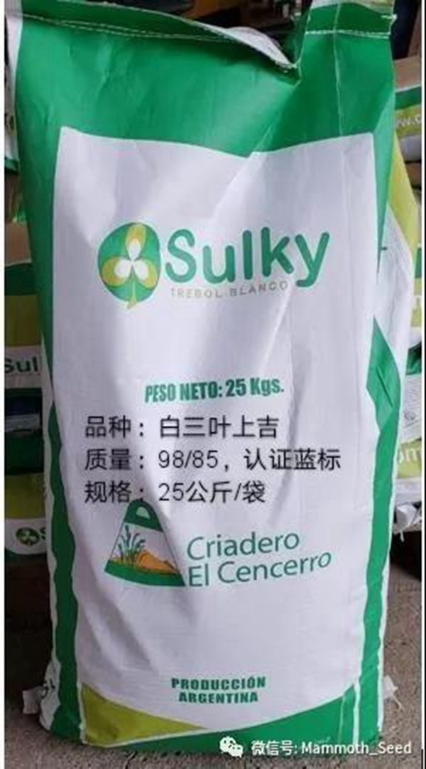 白三葉品種—上吉(Sulky) 