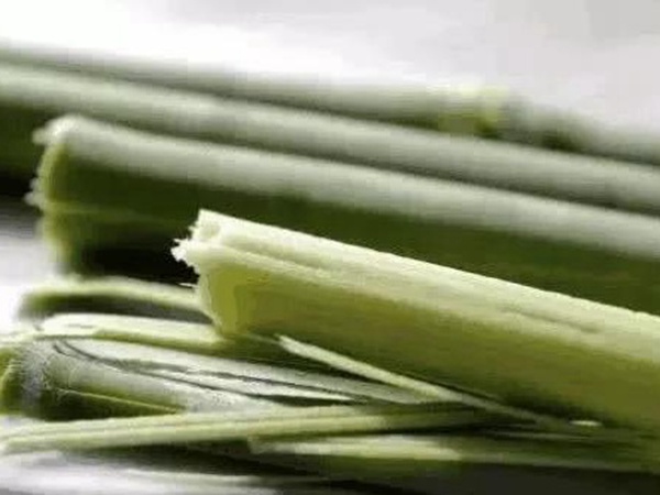 故鄉(xiāng)的回憶《老家的甜高粱》
