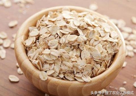 燕麥種子發(fā)芽率低怎么辦？怎么樣才能提高燕麥種子的發(fā)芽率？