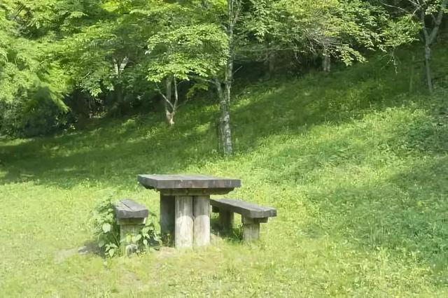 草坪有哪幾種分類你知道嗎？