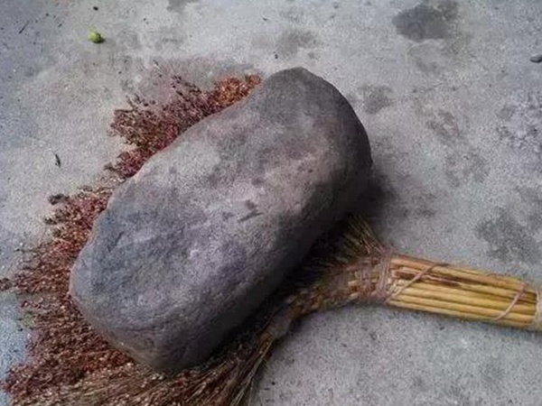故鄉(xiāng)的回憶《老家的甜高粱》
