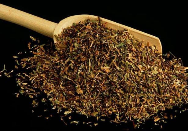 要想小米草種的好，要學(xué)會(huì)種植的技巧與方法