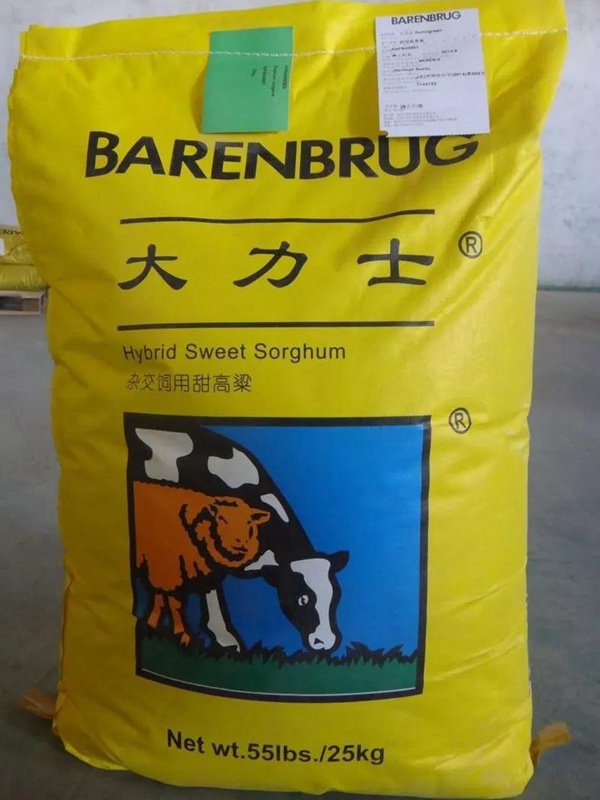 飼用甜高粱“大力士”助您脫貧攻堅(jiān)！甜高粱牧草種子特性