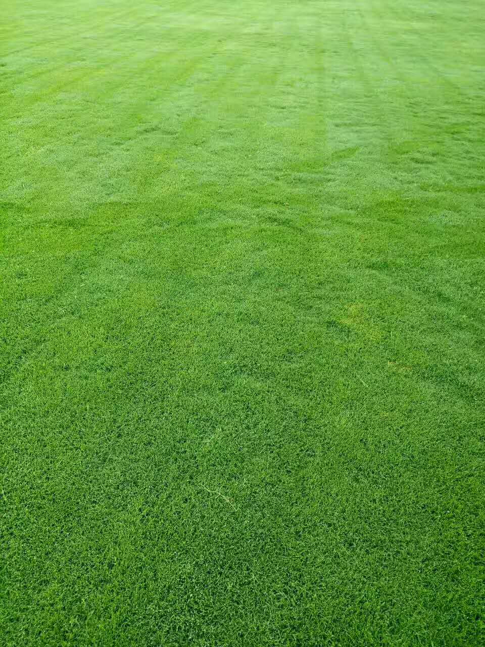 1630077141104132.jpg