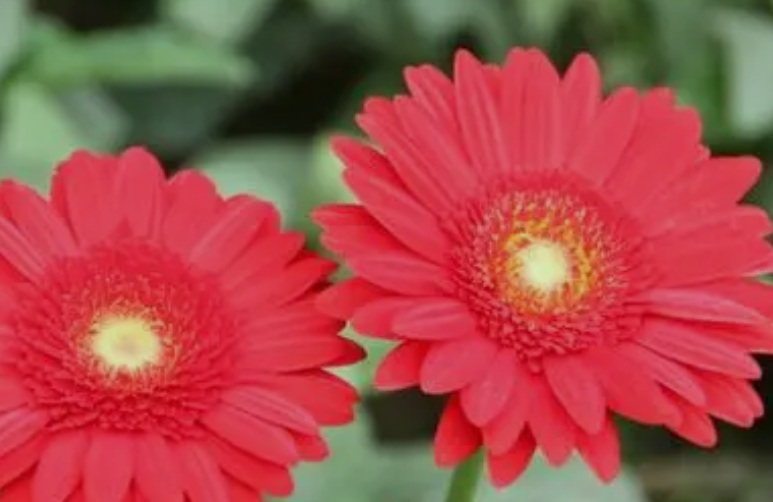 太陽(yáng)3.jpg