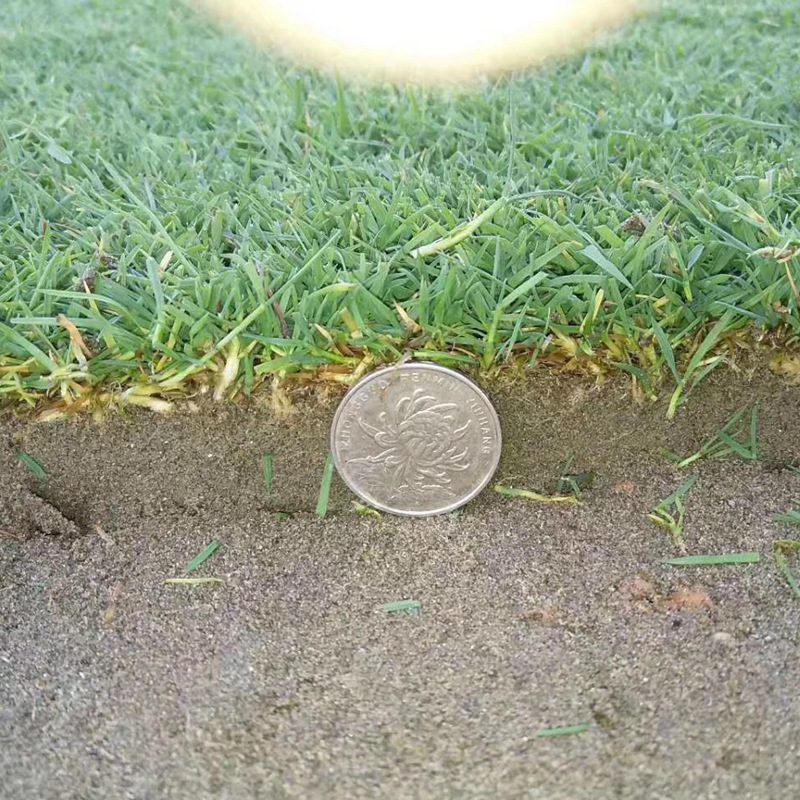 1647389266169336.jpg