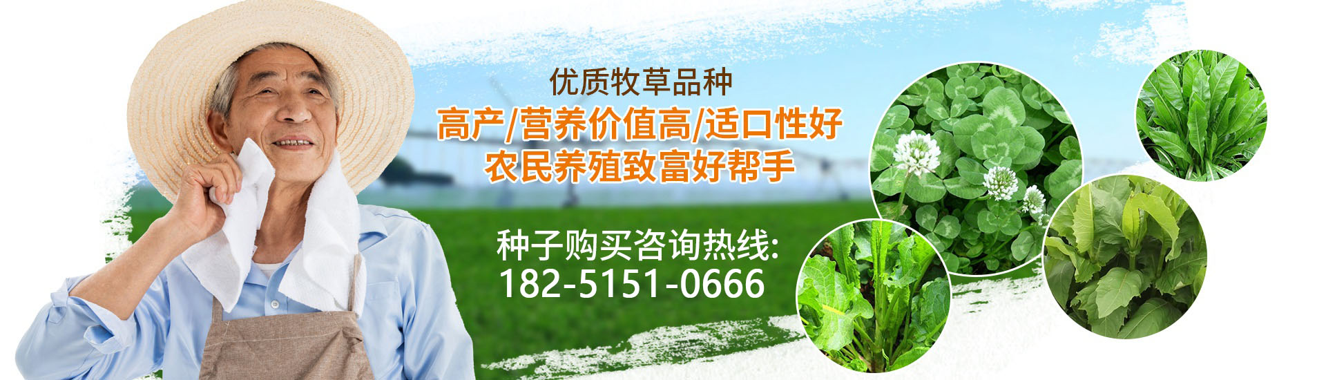 沐草匯園林網(wǎng)