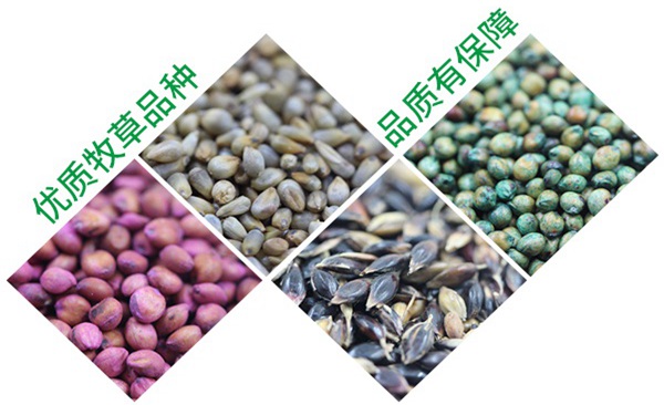 沐草匯園林網(wǎng)
